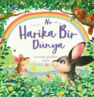 Ne Harika Bir Dünya;Çevrendeki Güzellikleri Keşfet!
