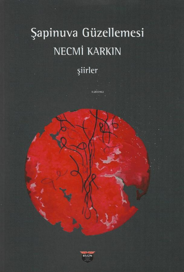  Şapinuva Güzellemesi | Şapinuva Güzellemesi | Necmi Karkın | Bilgin Kültür Sanat | 9786257799102 