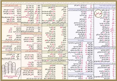  Avamil Şeması Ali Kara | Kolektif | Kitap Kalbi Yayıncılık | 5556623471260 | 