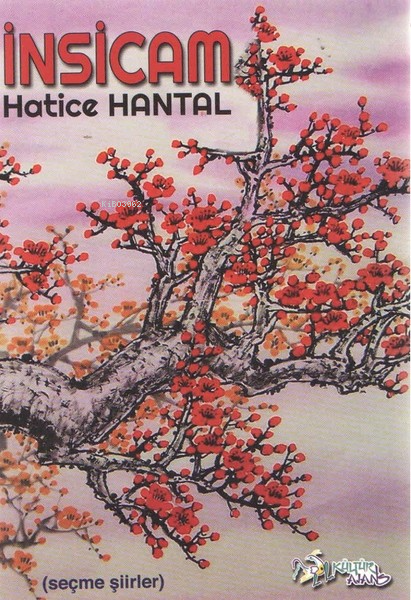  İnsicam | Hatice Hantal | Kültür Ajans Yayınevi | 9786053251637 | 