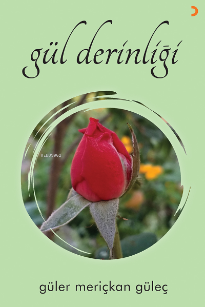  Gül Derinliği | Gül Derinliği | Güler Meriçkan Güleç | Cinius Yayınları | 9786258219982 