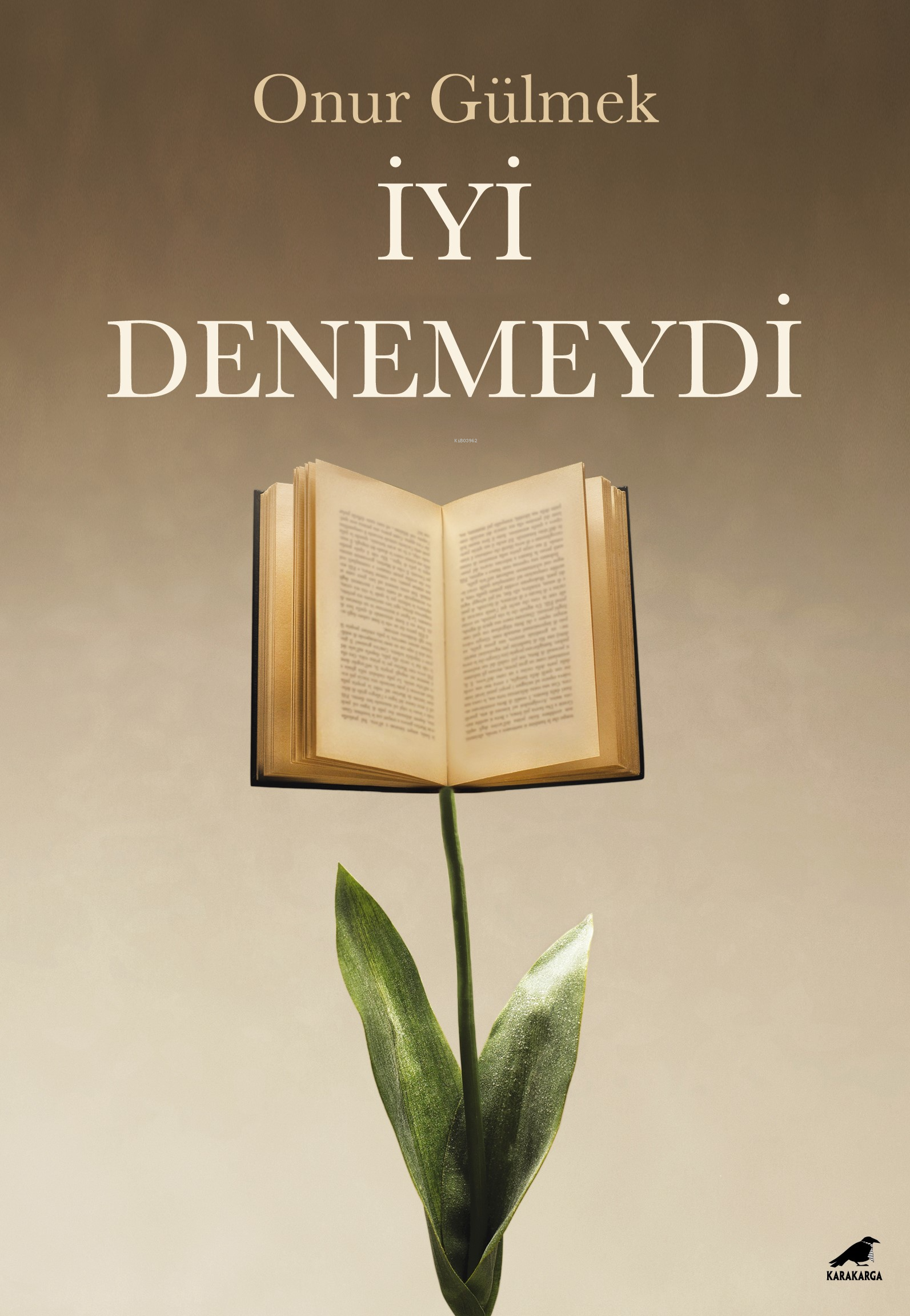 İyi Denemeydi