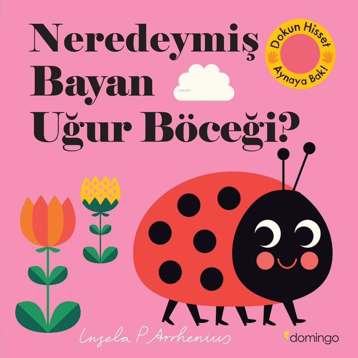 Neredeymiş Bayan Uğur Böceği?;(Dokun, Hisset, Aynaya Bak!)