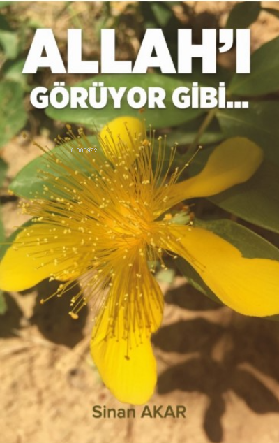  Allahı Görüyor Gibi | Sinan Akar | Beka Yayınları | 9786254007583 | 