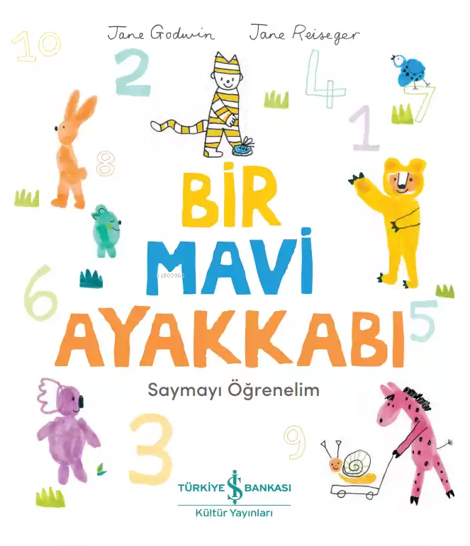 Bir Mavi Ayakkabı