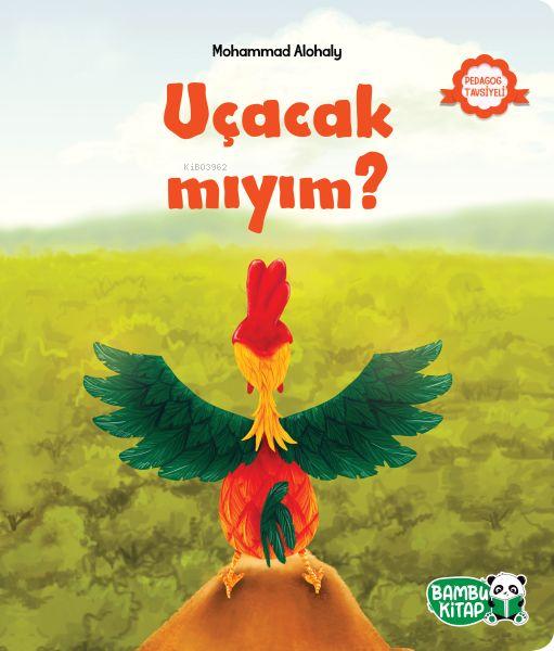 Uçacak mıyım?