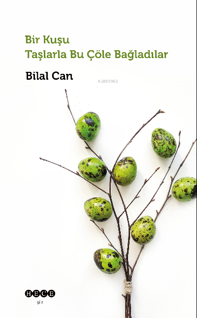  Bir Kuşu Taşlarla Bu Çöle Bağladılar | Bilal Can | Hece Yayınları | 9786258162677 | 