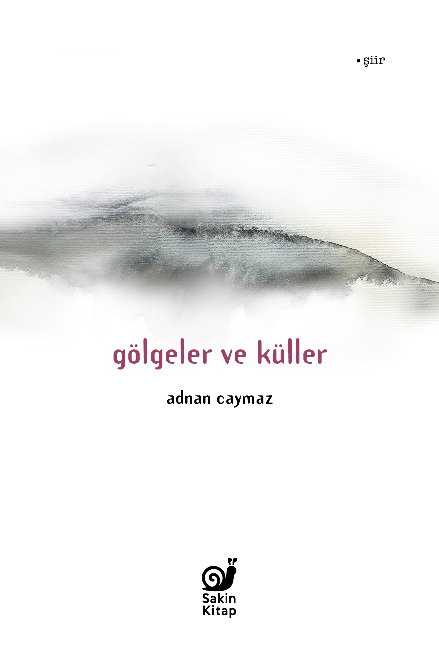  Gölgeler ve Küller | Dilek Şişli | Çağrı Öner | Adnan Caymaz | Ahmet Telli | Sakin Kitap | 9786259808628 | 