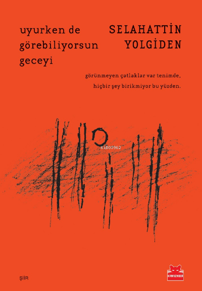 Uyurken de Görebiliyorsun Geceyi