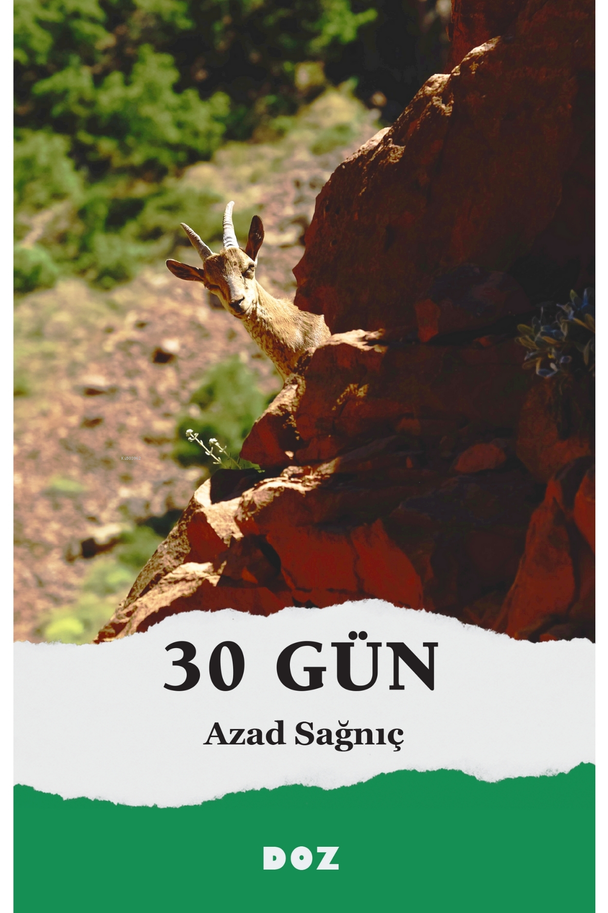  30 Gün | 30 Gün | Azad Sağnıç | Murat Saraçoğlu | Doz Yayıncılık | 9786259519043 