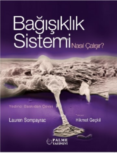 Bağışıklık Sistemi Nasıl Çalışır