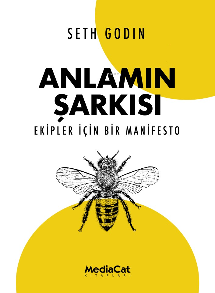 Anlamın Şarkısı ;Ekipler İçin Bir Manifesto