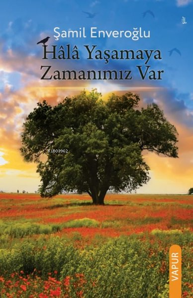  Hala Yaşamaya Zamanımız Var | Şamil Enveroğlu | Vapur Yayınları | 9786259799506 | 