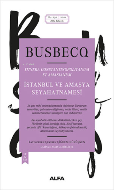 İstanbul ve Amasya Seyahatnamesi