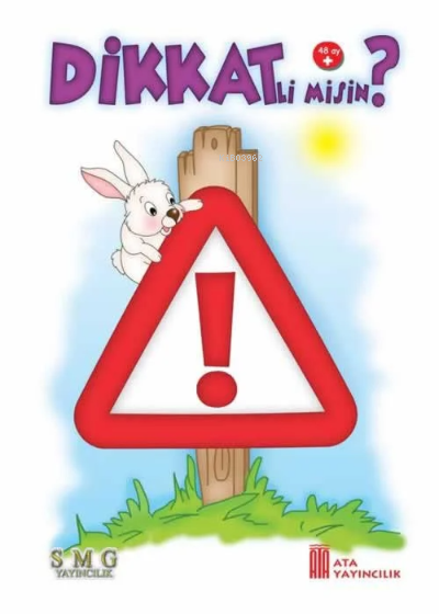 Ata Yayıncılık Dikkatli Misin? (Dikkat Kitabı) (48 Ay)