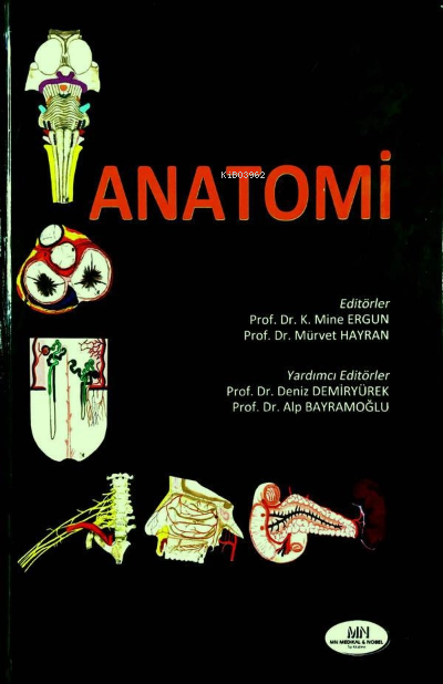 Anatomi - Hacettepe