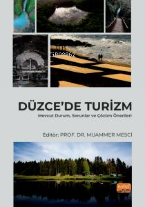 Düzce'de Turizm - Mevcut Durum, Sorunlar ve Çözüm Önerileri