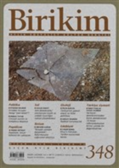  Birikim Aylık Sosyalist Kültür Dergisi Sayı 348 Nisan 2018 | Kolektif | Birikim Yayınları | 9771300833483 | 