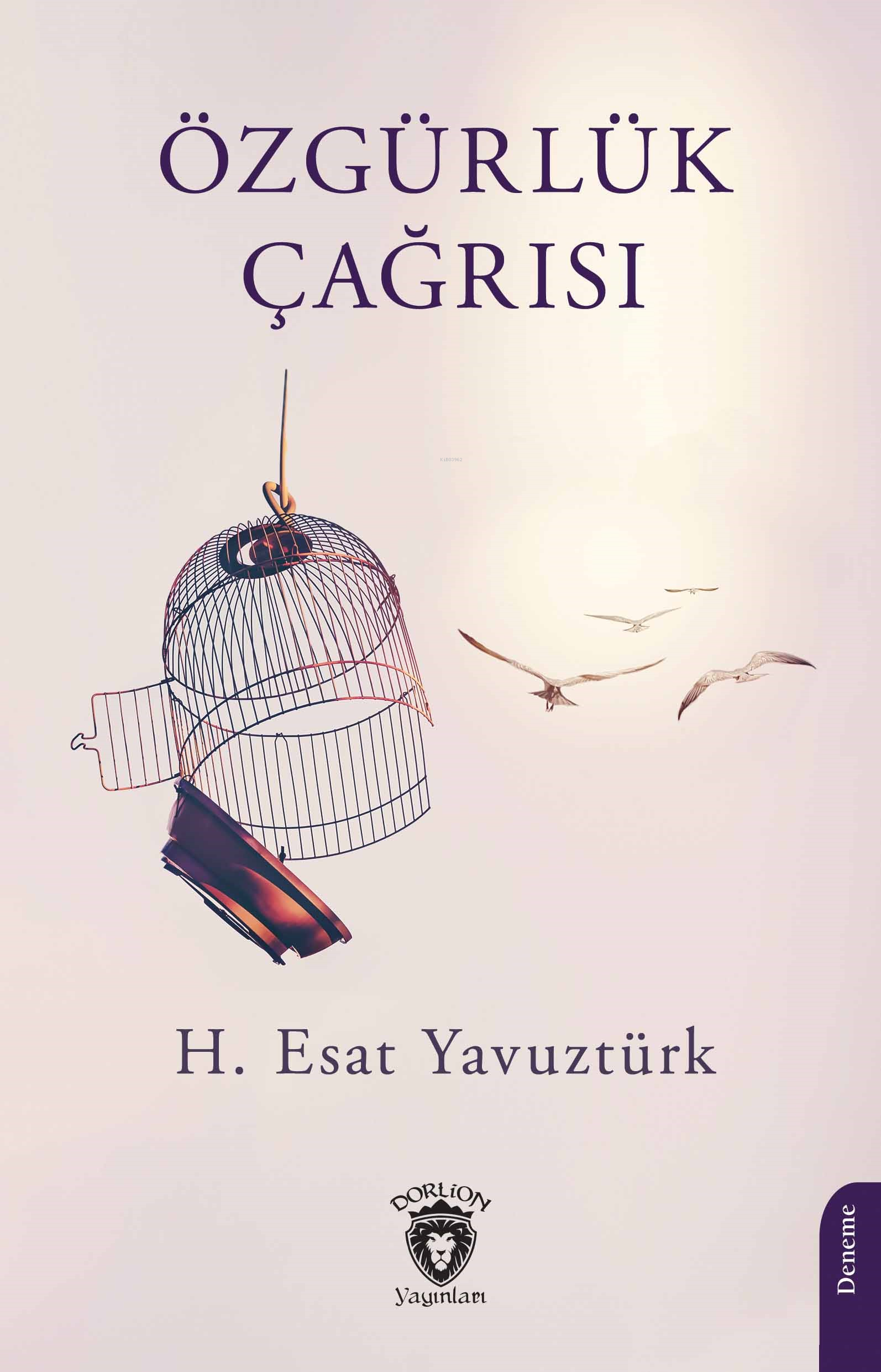  Özgürlük Çağrısı | Özgürlük Çağrısı | H Esat Yavuztürk | Dorlion Yayınevi | 9786253689117 
