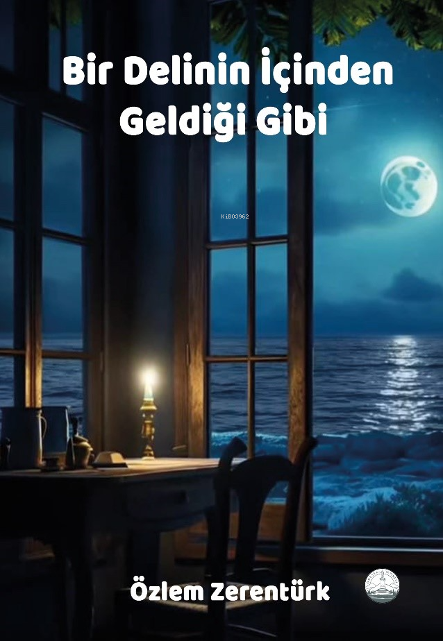 Bir Delinin İçinden Geldiği Gibi | Bir Delinin İçinden Geldiği Gibi | Özlem Zerentürk | Odessa Yayınevi | 9786256247291 