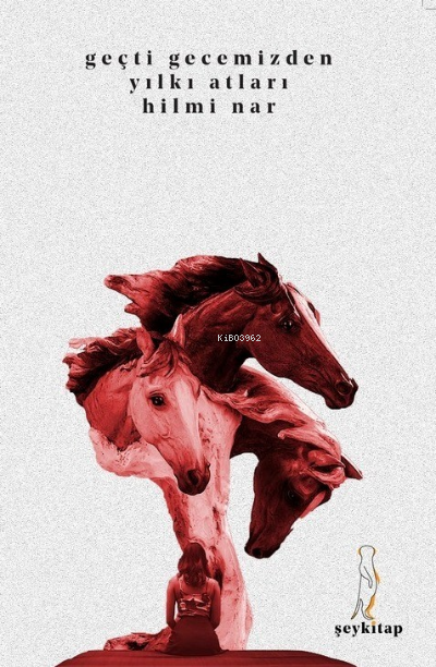  Geçti Gecemizden Yılkı Atları | Geçti Gecemizden Yılkı Atları | Hilmi Nar | Şey Kitap | 9786057147417 