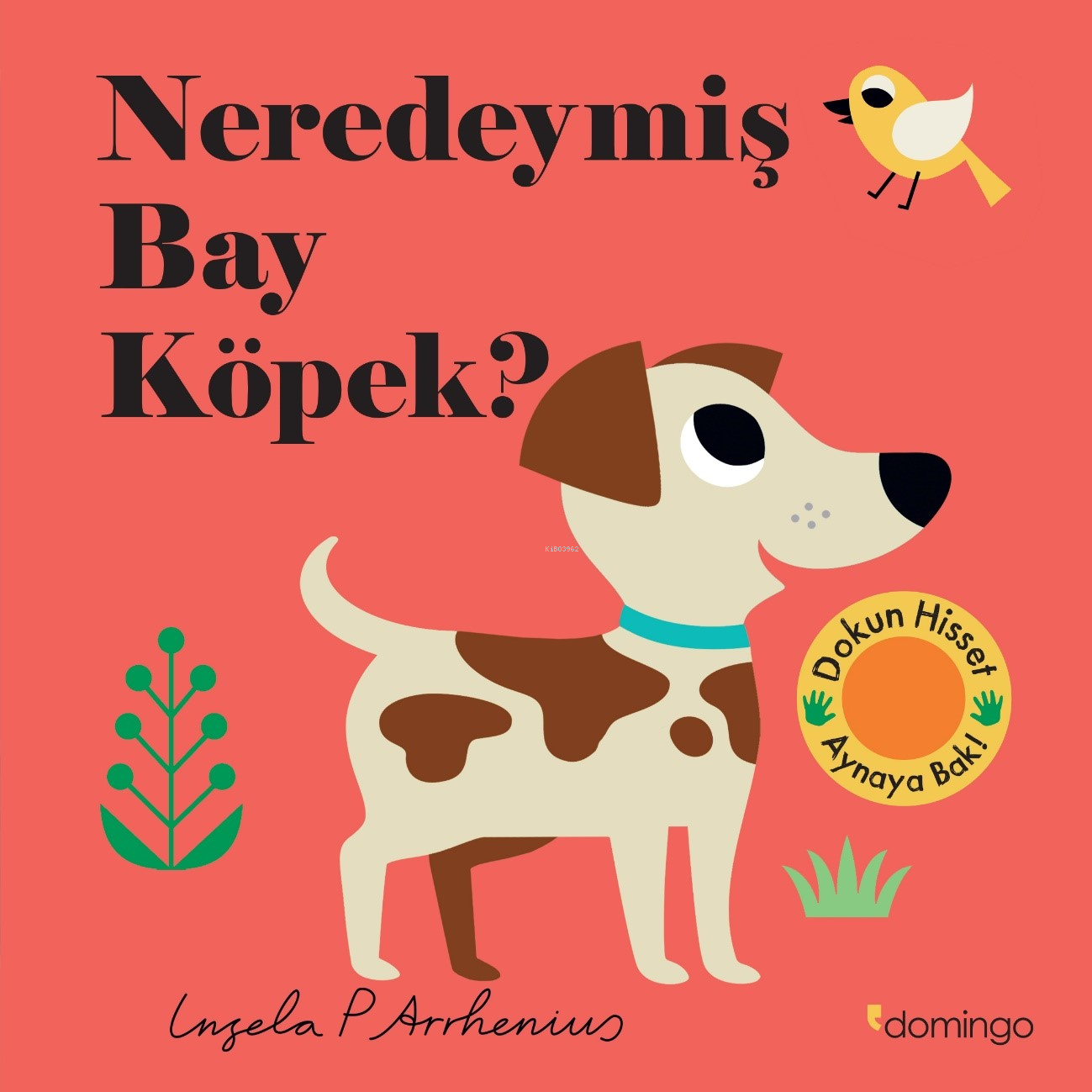 Neredeymiş Bay Köpek?;(Dokun, Hisset, Aynaya Bak!)