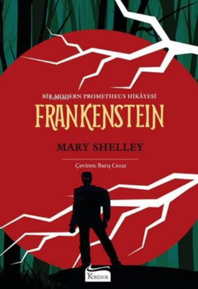 Frankenstein ( Bez Ciltli );Bir Modern Prometheus Hikayesi
