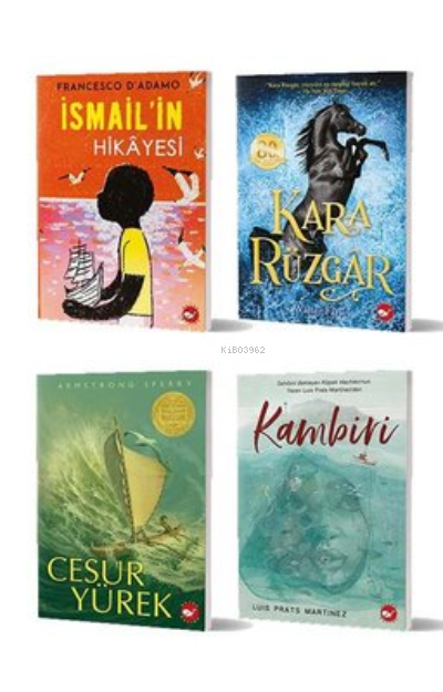 11+ Yaş İçin Okuma Seti (4 Kitap Takım)