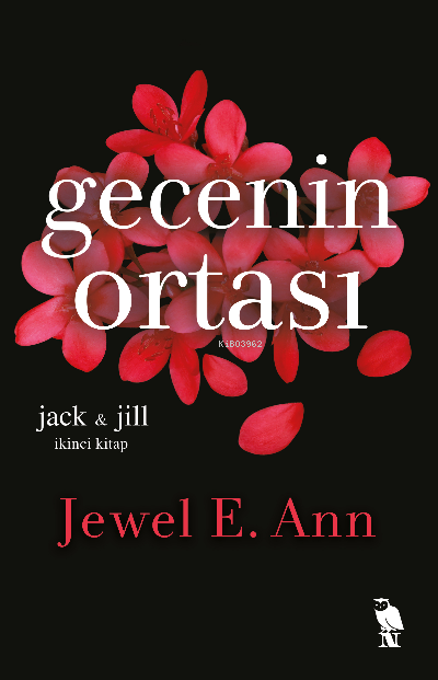 Gecenin Ortası (İkinci Kitap)