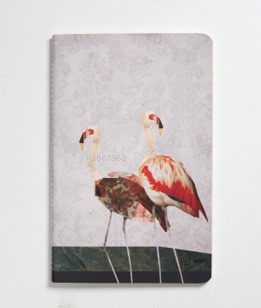 Nesin Defter-Flamingo