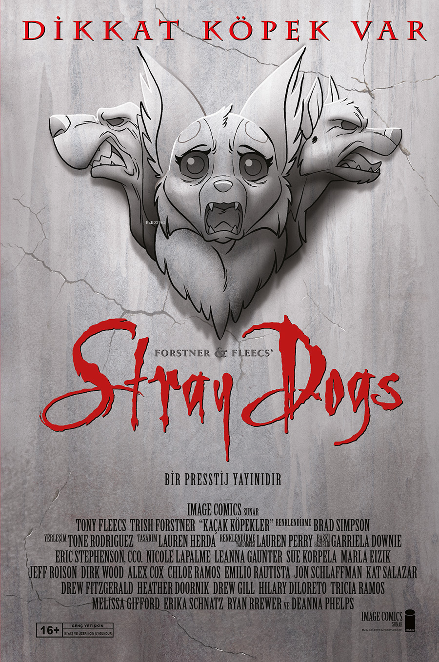  Stray Dogs Cilt Sert Kapak (Kapak A) | Neil Gaiman | Presstij | 9786258271508 | 