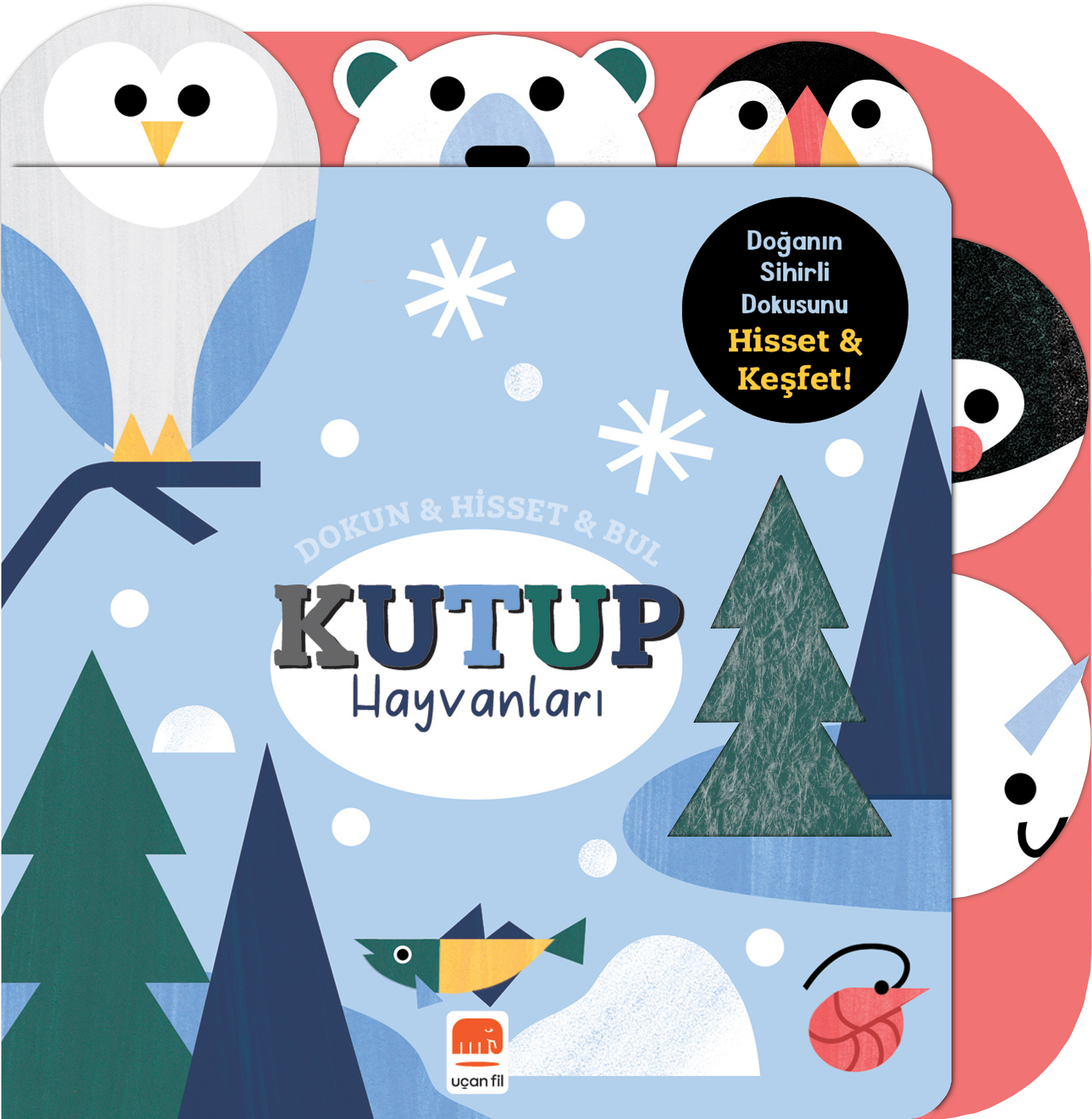 Kutup Hayvanları ;Dokun & Hisset & Bul