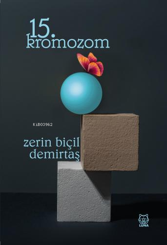  15 Kromozom | 15 Kromozom | Zerin Biçil Demirtaş | Luna Yayınları | 9786258339512 