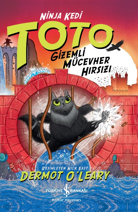 Ninja Kedi Toto – Gizemli Mücevher Hırsızı