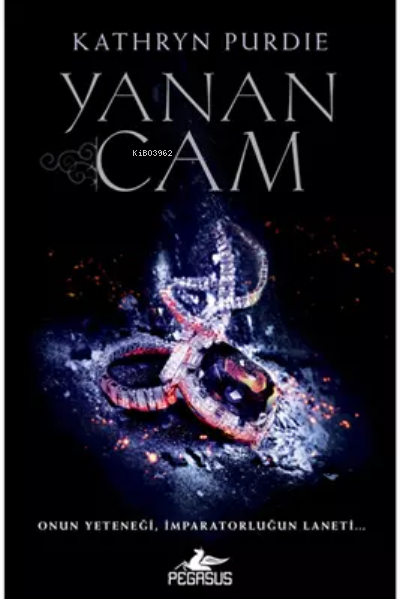  Yanan Cam (Yanan Cam Serisi – 1) | Yanan Cam (Yanan Cam Serisi – 1) | Duygu Özcan | Kathryn Purdie | Pegasus Yayıncılık | 9786254101298 