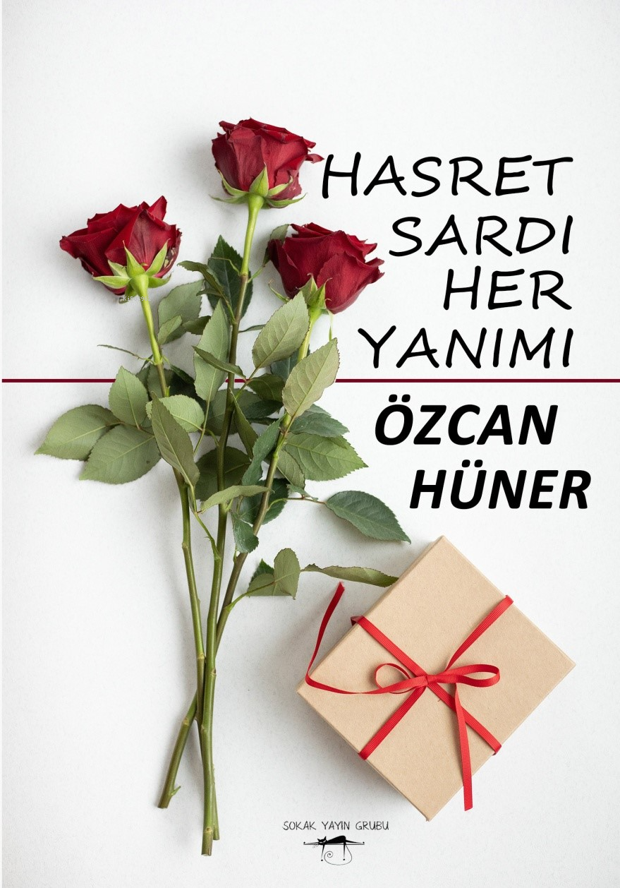 Hasret Sardi Her Yanımı