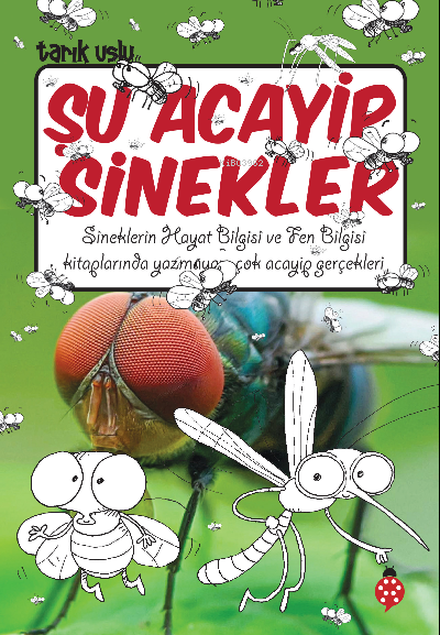 Şu Acayip Sinekler