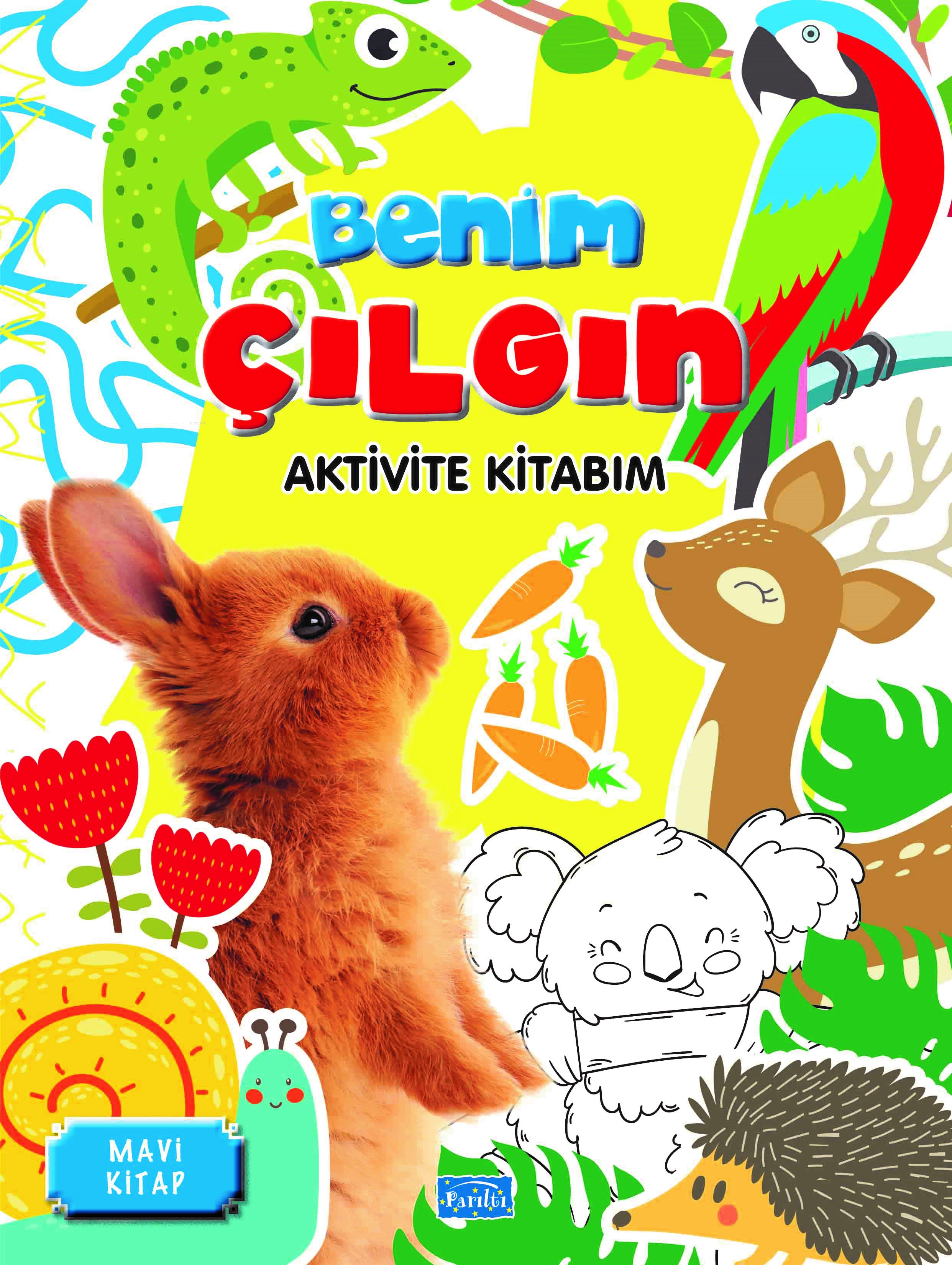 Benim Çılgın Aktivite Kitabım – Mavi Kitap