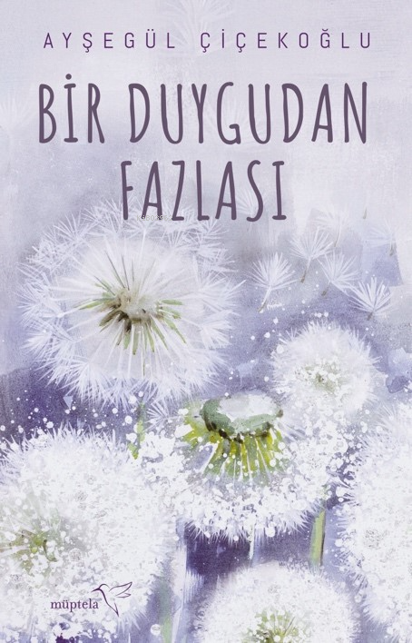 Bir Duygudan Fazlası