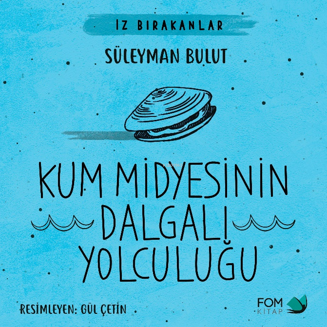 Kum Midyesinin Dalgalı Yolculuğu