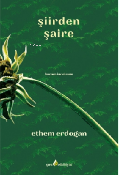 Şiirden Şaire