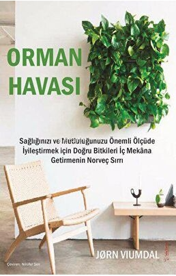 Orman Havası - Sağlığınızı ve Mutluluğunuzu Önemli Ölçüde İyileştirmek İçin Doğru Bitkileri İç Mekan