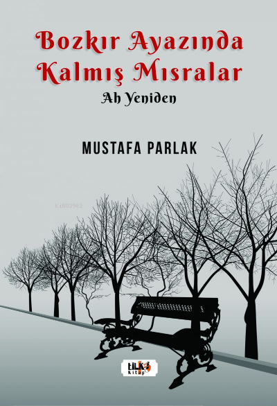  Bozkır Ayazında Kalmış Mısralar | Mustafa Parlak | Tuğba Ünlüer | Hilal Eksik | Aslıhan Ekşioğlu | Tilki Kitap | 9786056631405 | 