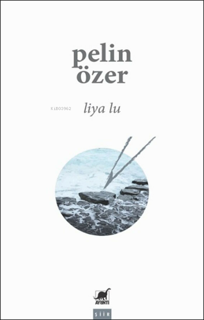  Liya Lu | Liya Lu | Pelin Özer | Ayrıntı Yayınları | 9786053145424 