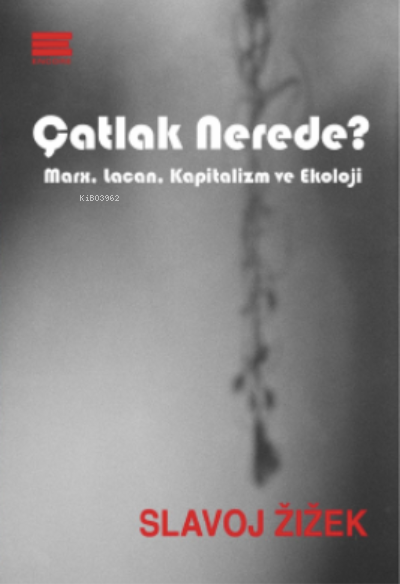 Çatlak Nerede?;Marx, Lacan, Kapitalizm ve Ekoloji