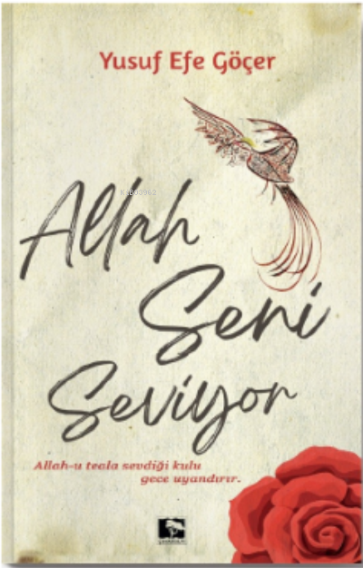 Allah Seni Seviyor