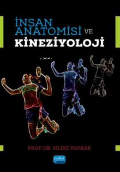 İnsan Anatomisi ve Kineziyoloji