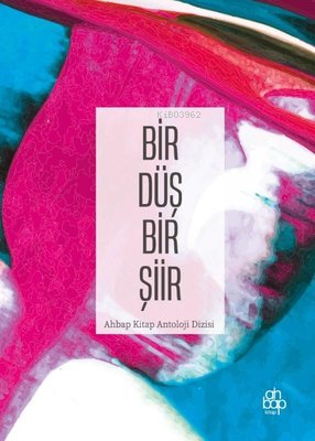  Bir Düş Bir Şiir | Bir Düş Bir Şiir | Kolektif | Ahbap Kitap | 9786257022750 