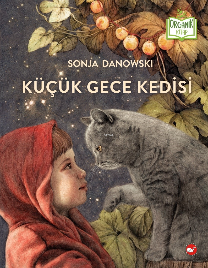 Küçük Gece Kedisi