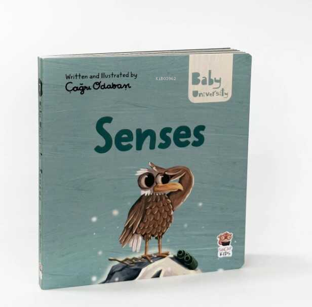 Senses - Baby University First Concepts Stories 2